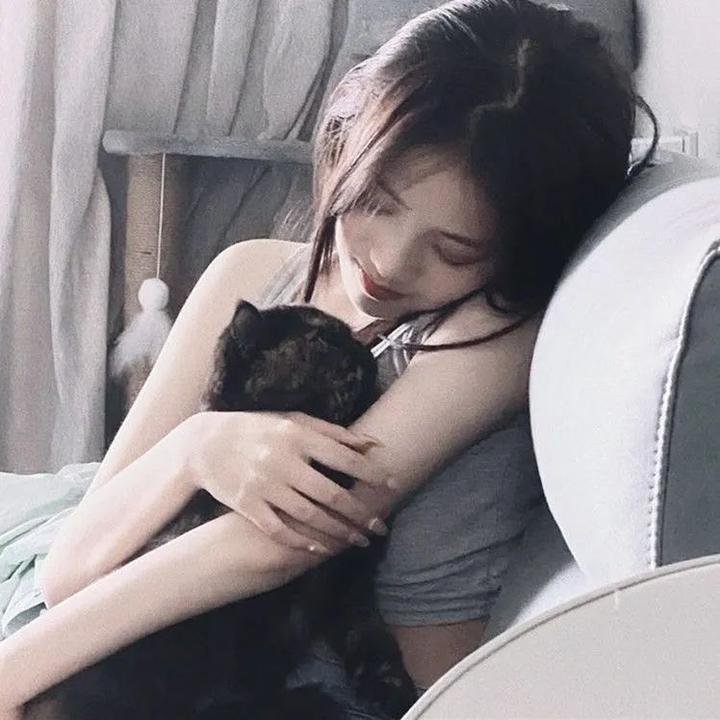 消失的收藏家